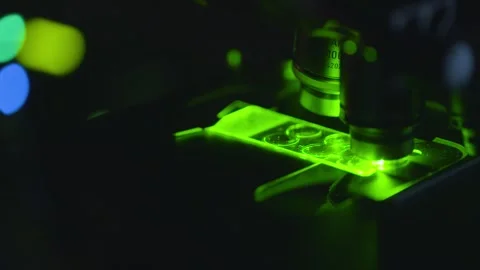 Glowing Microscope Slide Under Fluorescent Light Stock Footage 311049895