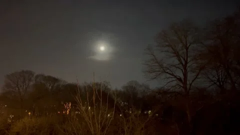 Glowing moon over winter trees Video stock 171890388