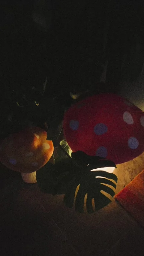 Glowing mushrooms Stock Footage 279520290