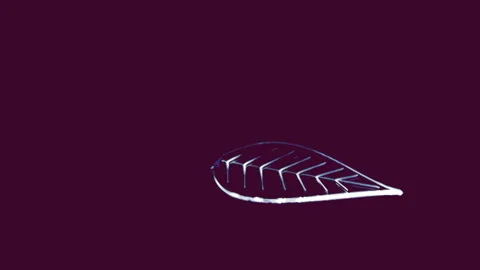 Glowing Nature: A Leaf in Motion Stock Footage 303510997