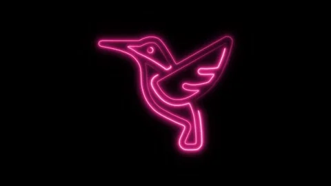 Glowing neon bird icon isolated on black background. HD Video motion graphi.. Stock Footage 304167774