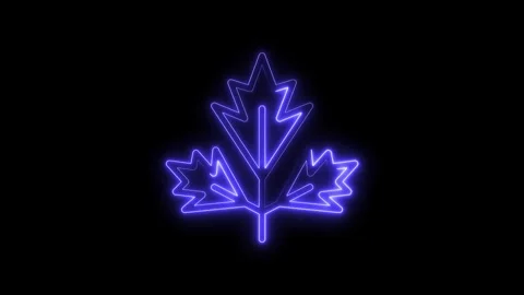 Glowing neon blue maple leaf icon animation on a black background Stock Footage 322965833