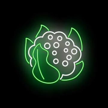 Glowing neon cauliflower icon representing healthy diet concept Stock Illustration