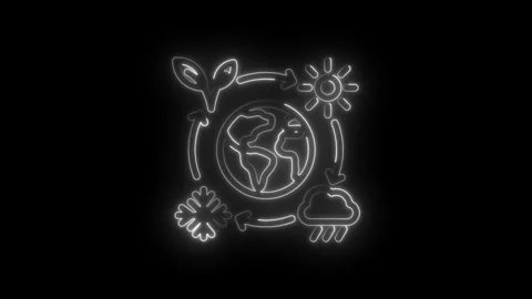 Glowing neon earth cycle animation with sun cloud snowflake and plant growth Stock Footage 333952103