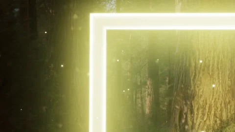 Glowing Neon Frame in Dark Forest With Particles Stock Footage 348398249