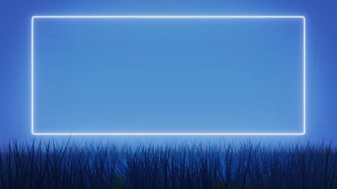 Glowing Neon Frame With Grass Stock Footage 251562514