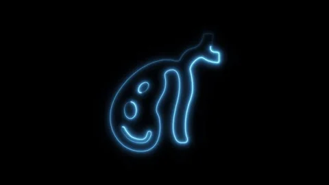 Glowing neon gallbladder 2 icon isolated on black background. HD Video moti.. Stock Footage 304161252