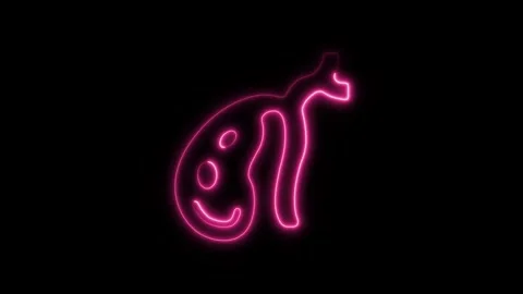 Glowing neon gallbladder icon isolated on black background. HD Video motion.. Stock Footage 304161268