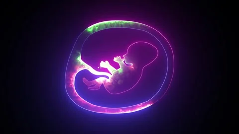Glowing neon Human fetus inside the womb. Pregnancy fetal foetus developmen.. Stock Footage 295405341