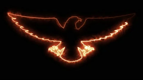 Glowing Neon Icon of Eagle Logo Graphic Element on black background. Video stock 183401839