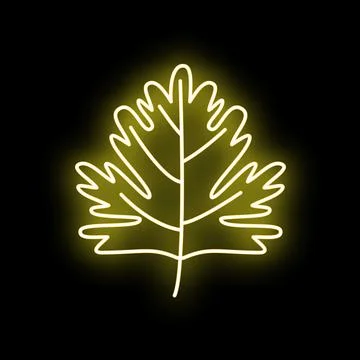 Glowing neon leaf outline against black background Illustrazione stock