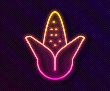 Glowing neon line Corn icon isolated on black background.  Vector Stock Illustration