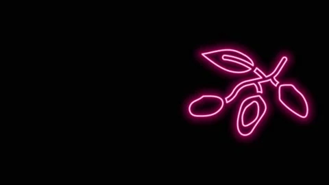 Glowing neon line Date fruit icon isolated on black background. 4K Video motion Stock Footage 155147675