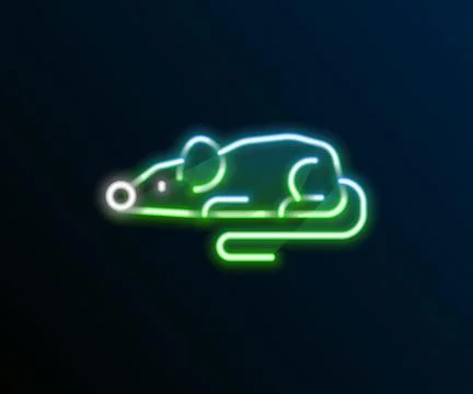 Glowing neon line Experimental mouse icon isolated on black background. Col.. Stock Illustration