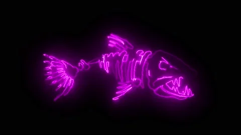 Glowing neon line Fish skeleton icon isolated on black background. Stock Footage 224636769