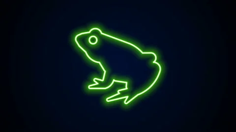 Glowing neon line Frog icon isolated on black background. Animal symbol. 4K Stock Footage 142287577