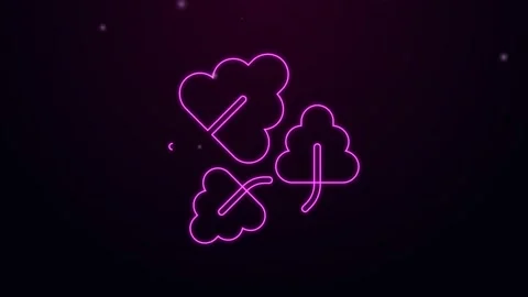Glowing neon line Oak leaf icon isolated on black background. 4K Video motion 库存影片 167865956