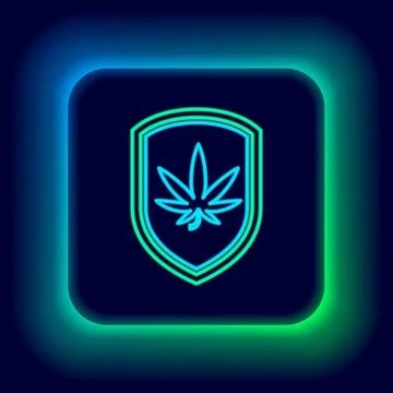 Glowing neon line Shield and marijuana or cannabis leaf icon isolated on black Stock Illustration