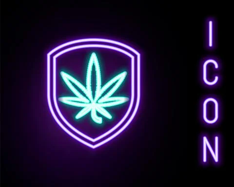 Glowing neon line Shield and marijuana or cannabis leaf icon isolated on black Stock Illustration
