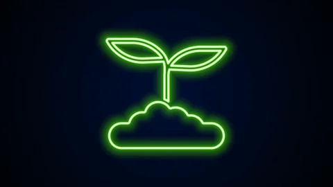 Glowing neon line Tea leaf icon isolated on black background. Tea leaves. 4K Stock Footage 167857450