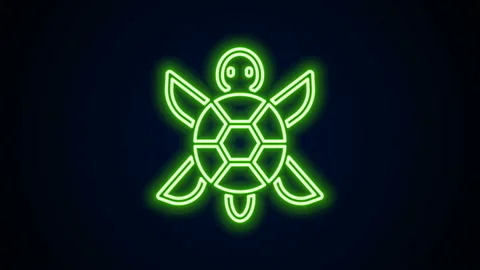 Glowing neon line Turtle icon isolated on black background. 4K Video motion Stock Footage 142287641