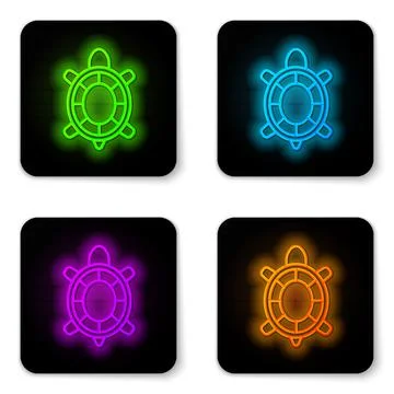 Glowing neon line Turtle icon isolated on white background. Black square button Stock Illustration