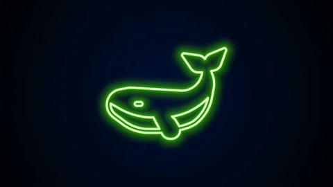 Glowing neon line Whale icon isolated on black background. 4K Video motion Stock Footage 142287616