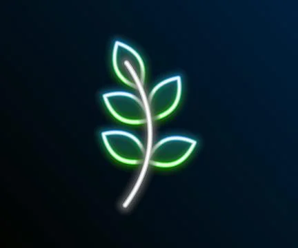 Glowing neon line Willow leaf icon isolated on black background. Colorful Stock Illustration