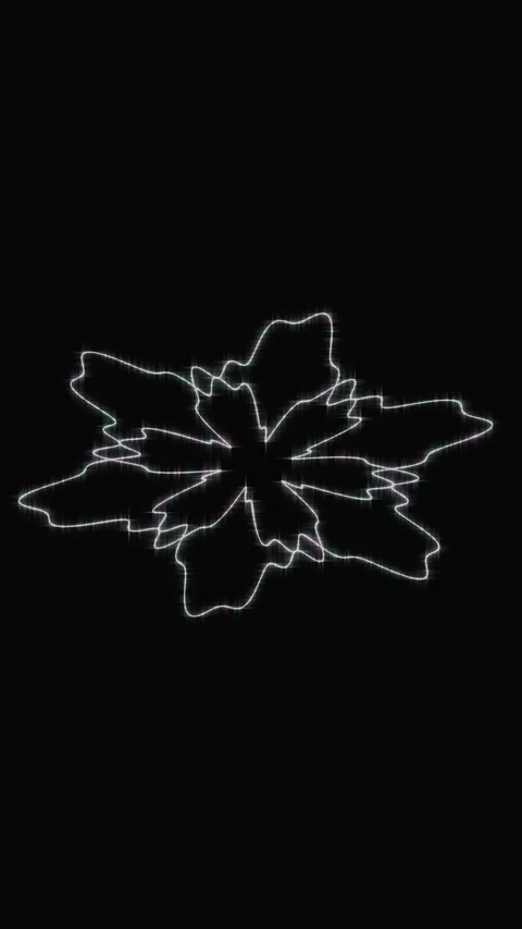 Glowing neon lines morphing into floral shape on black background Stock Footage 346662165