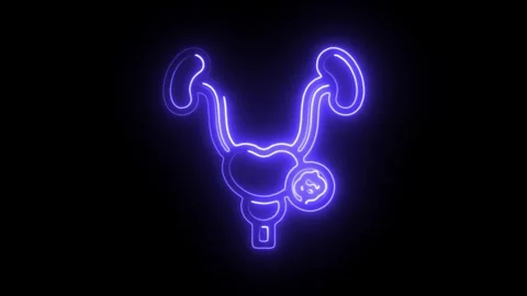 Glowing neon prostate icon isolated on black background. HD Video motion gr.. Stock Footage 304129041