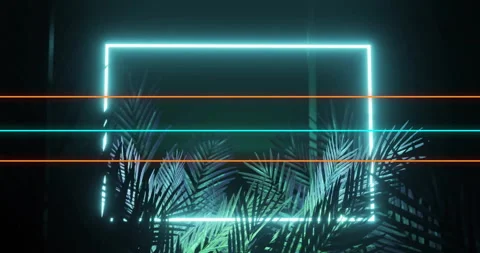 Glowing neon rectangle and lines over tropical palm leaves in dark setting Stock Footage 304856701