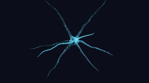 A glowing nerve cell that emits electrical impulses. Stock-Footage 109254737