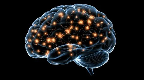 Glowing Neural Network in Transparent Brain Model Stock Illustration