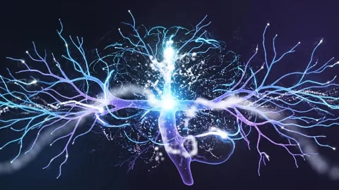 Glowing neural pathways forming a human brain in digital cyberspace 스톡 동영상 342094391