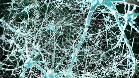 Glowing neurons realistic animation in the Brain. Nerve cells, Neurotransmitters Stock-Footage 269433232