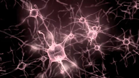 Glowing neurons realistic animation in t... | Stock Video | Pond5