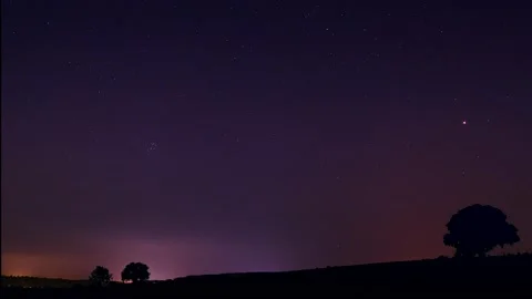 Glowing Night Sky Timelapse with Silhouetted Oak Trees Stock Footage