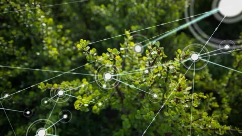 Glowing node fading in on shrub sending neon lines and rings forming network 스톡 동영상 316186458