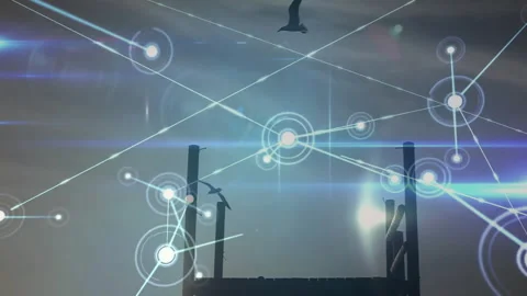 Glowing node materializing at dawn with seagulls weaving through expanding Stock Footage 311217252