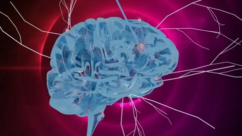 Glowing node pulsing, starting pullback, revealing rotating brain model mapping Stock Footage 340654519