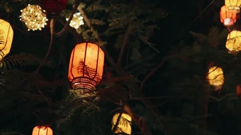Glowing orange lanterns hanging from tree branches, softly swinging at nighttime Stock Footage 315525658