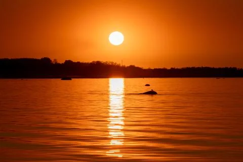 Glowing orange sunset over a calm river with a bright sun disc low on the Stock Photos