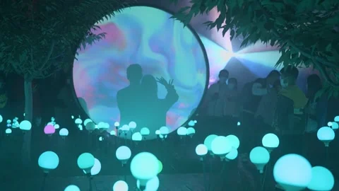 Glowing orb lights in a park at night with silhouettes of a couple Stock Footage 341946431