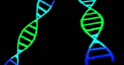 Glowing pair of stylized DNA double helices curving inward on black backdrop, Illustrazione stock