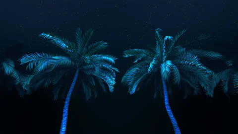 Glowing Palm Night Loop Stock Footage 232195656