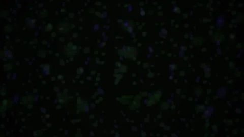 Glowing particles on black background. Stock Footage 335362203