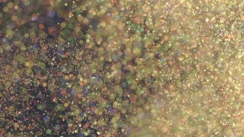 The glowing particles floating on the black background. slow motion Video stock 160066876