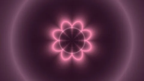 Glowing Pink Abstract Flower Pattern Stock Footage 340749487