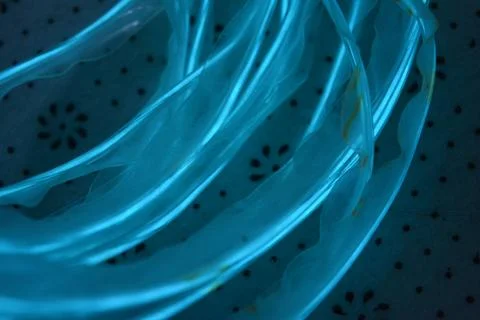 Glowing plastic backdrop consisting of dark blue light sources of wires. 스톡 사진