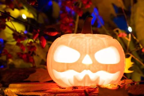 Glowing pumpkin against the background of fall foliage Stock Photos